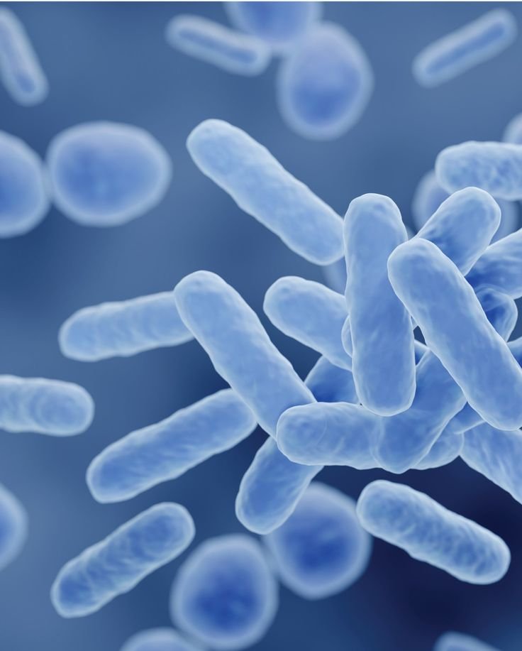 Science of Skin Care