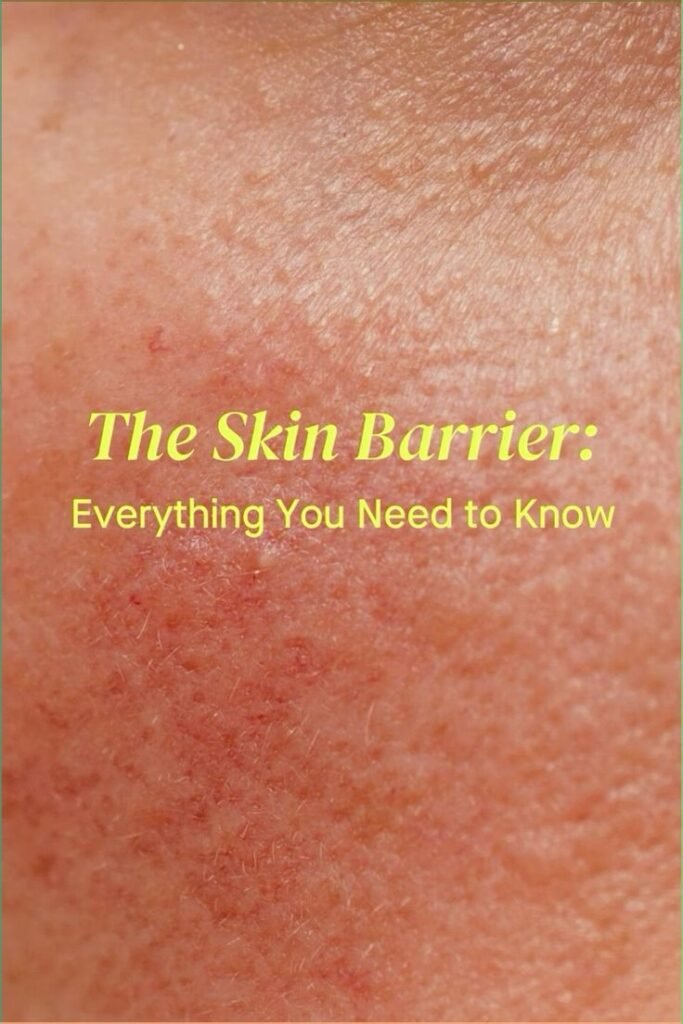 How to Repair Damaged Skin Barrier