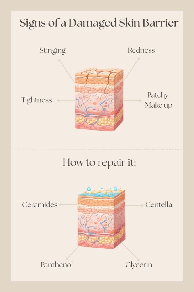 How to Repair Damaged Skin Barrier